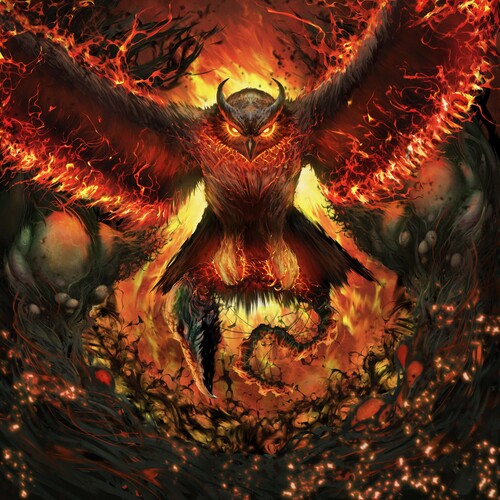 Rad Owl Rage Gracefully - Record Album - Vinyl LP