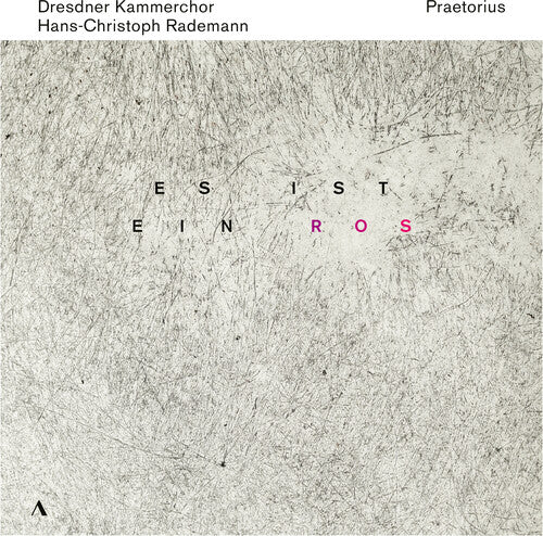 Rademann Dresdner Kammerchor Es Ist Ein Ros - CD Album