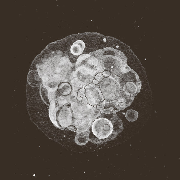 Rafael Toral Moon Field