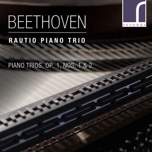 Rautio Piano Trio Piano Trios 1 1 & 2 - CD Album