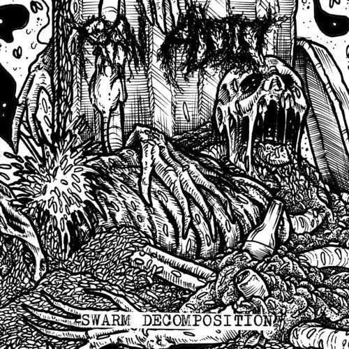 Raw Addict Swarm Decomposition - CD Album