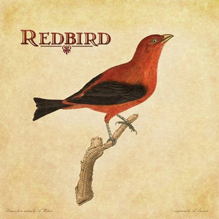 Redbird Redbird