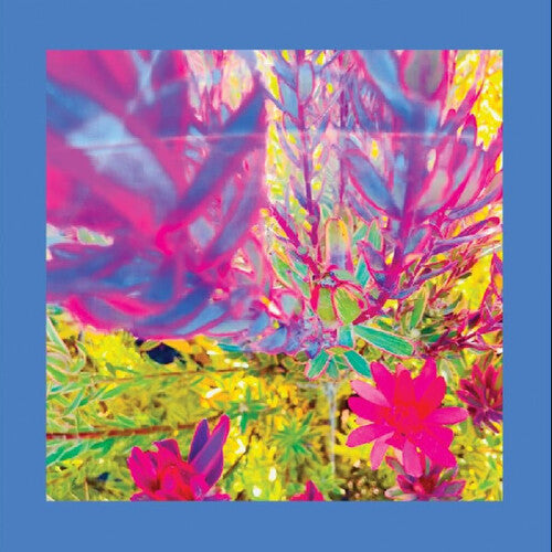 Reds Pinks & Purples The Past is a Garden I Never Fed - Record Album - Vinyl LP