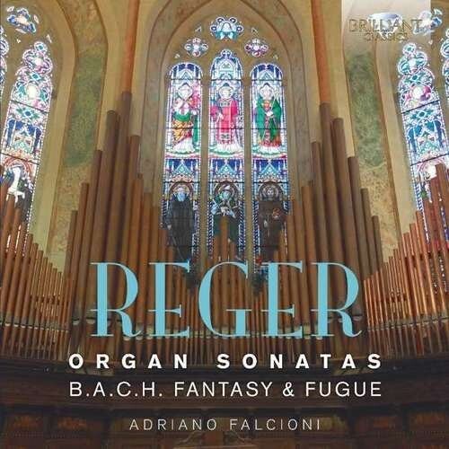 Reger / Falcioni Reger: Organ Sonatas - CD Album