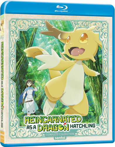 Reincarnated as a Dragon Hatchling: Comp Coll Reincarnated As A Dragon Hatchling: Complete Collection - 2-Disc Blu-Ray Set