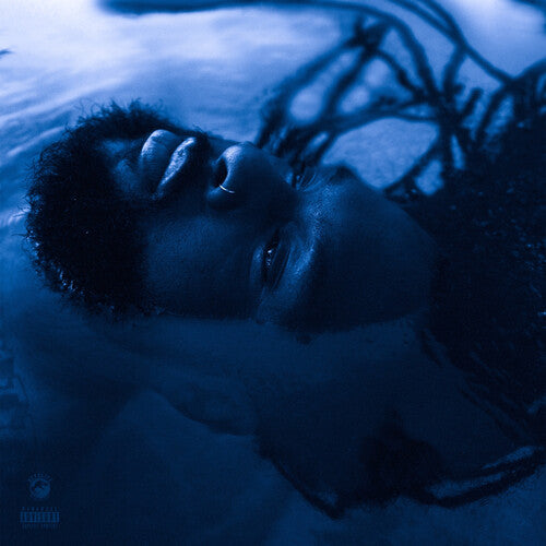 Rexx Life Raj The Blue Hour - Record Album - Vinyl LP