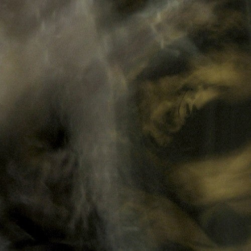 Rhea Tucanae Fungi from - CD Album