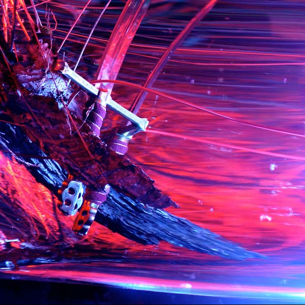 Rhyton Navigating by Starlight