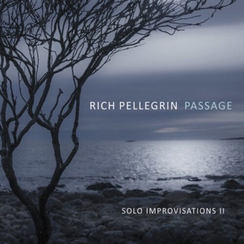 Rich Pellegrin Passage: Solo Improvisations Ii - CD Album