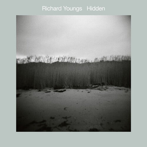 RICHARD YOUNGS Hidden - Record Album - Vinyl LP