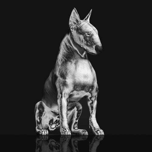 Riskee & the Ridicule Platinum Statue - Record Album - Vinyl LP