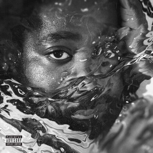 R.LUM.R Surfacing - Record Album - Vinyl LP