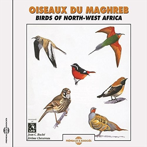 Roche, Jean Claude / Chevereau, Jerome Birds of Northwest Africa - CD Album