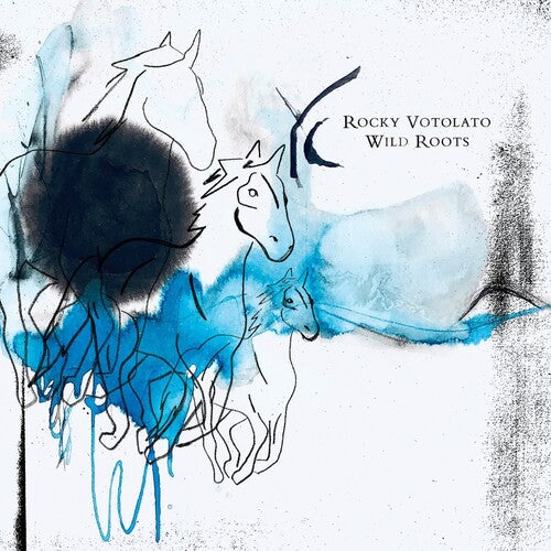 Rocky Votolato Wild Roots - Record Album - Vinyl LP