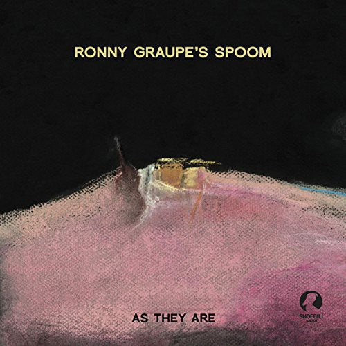 Ronny Graupe As They Are - Record Album - Vinyl LP