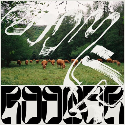 Roomer Skice - Record Album - Vinyl LP