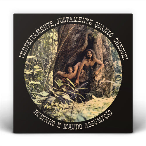 Rubinho E Mauro Assumpcao Perfeitamente, Justamente Quando Cheguei - Record Album - Vinyl LP
