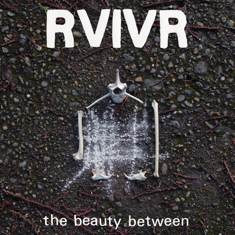 RVIVR The Beauty Between [Black/Clear Vinyl]