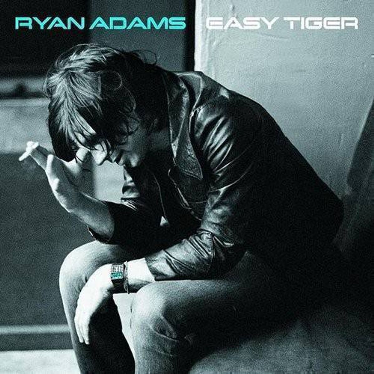 Ryan Adams Easy Tiger [CD]
