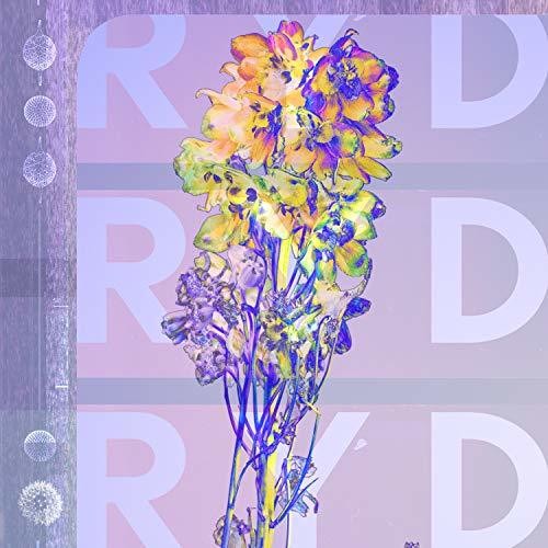 RYD Ryd - Record Album - Vinyl LP
