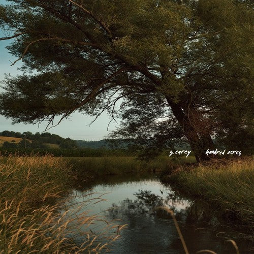 S Carey Hundred Acres - Record Album - Vinyl LP