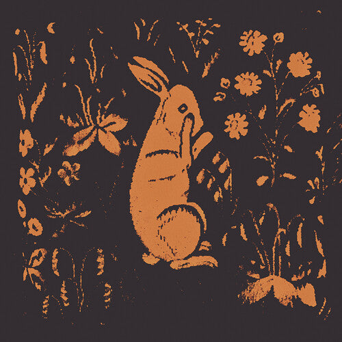 Sadness Rabbit Album - CD Album