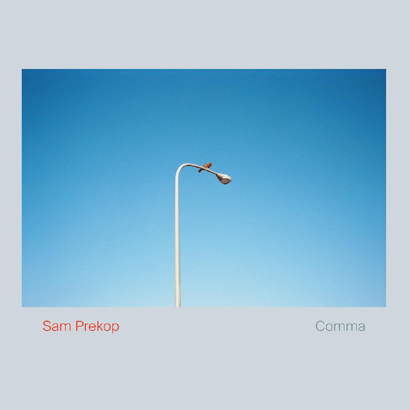 Sam Prekop Comma