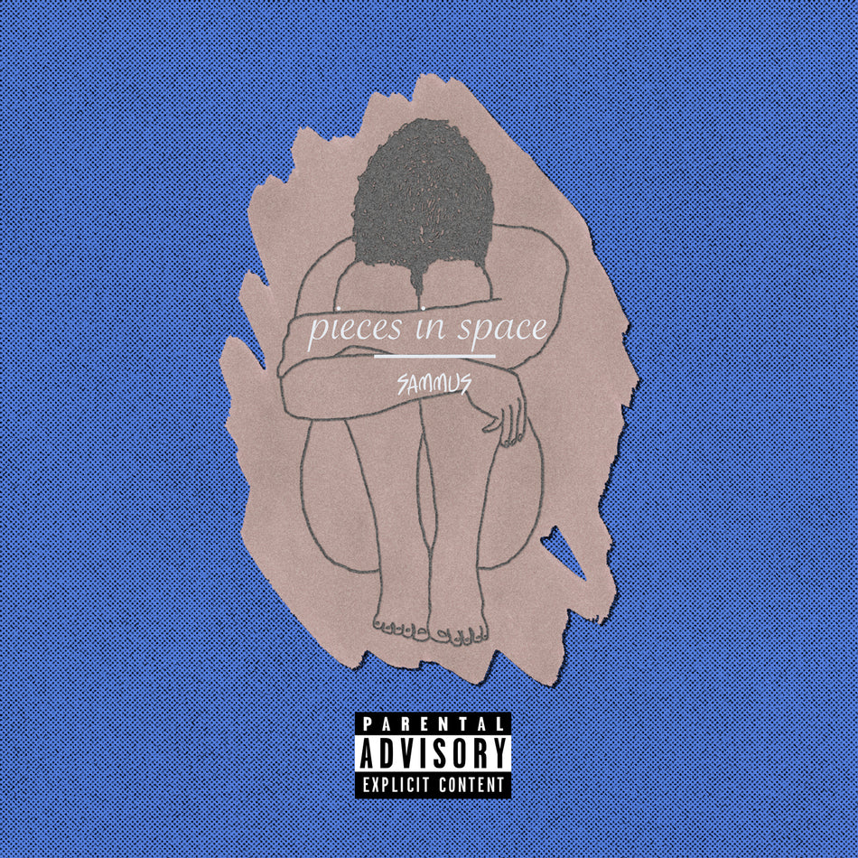 Sammus Pieces In Space