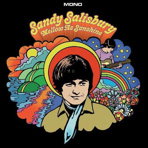 Sandy Salisbury Mellow As Sunshine - Record Album - Vinyl LP