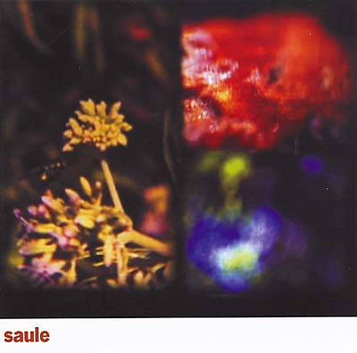 SAULE Saule