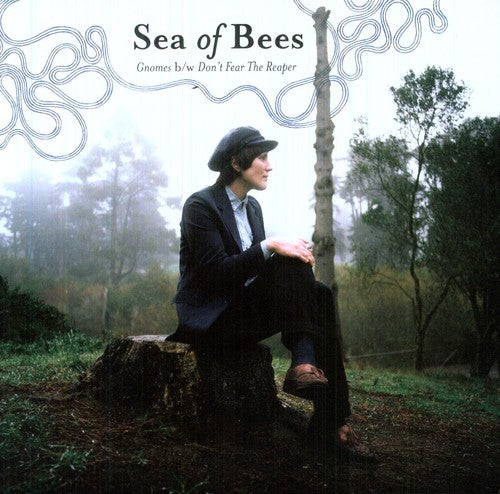 Sea of Bees Gnomes - Record Album - Vinyl LP
