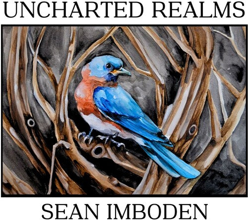 Sean Imboden Uncharted Realms - CD Album