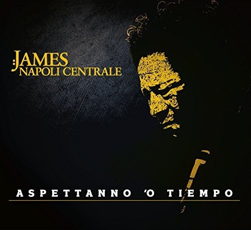 Senese, James / Napoli Centrale Aspettanno O Tiempo - Double Record Album - Vinyl LP