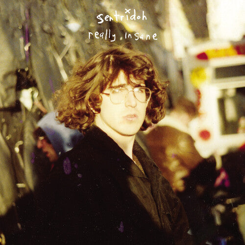 Sentridoh Really Insane : A Lou Barlow Compendium - Record Album - Vinyl LP