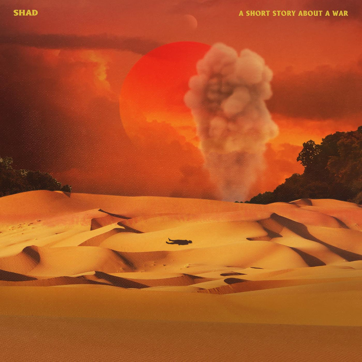 Shad A Short Story About A War