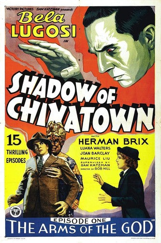Shadow of Chinatown - DVD