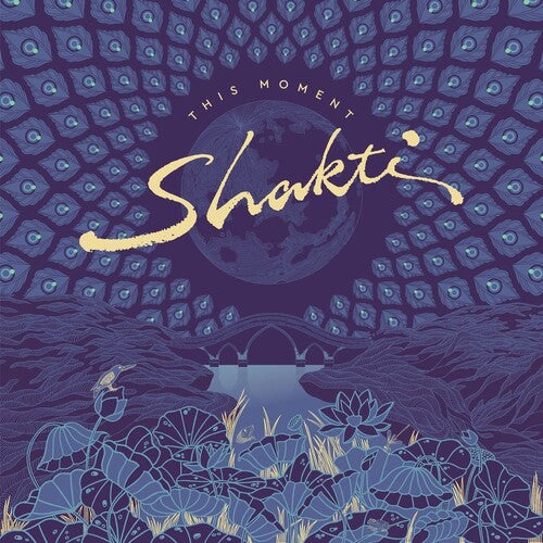 Shakti This Moment - Double Record Album - Vinyl LP