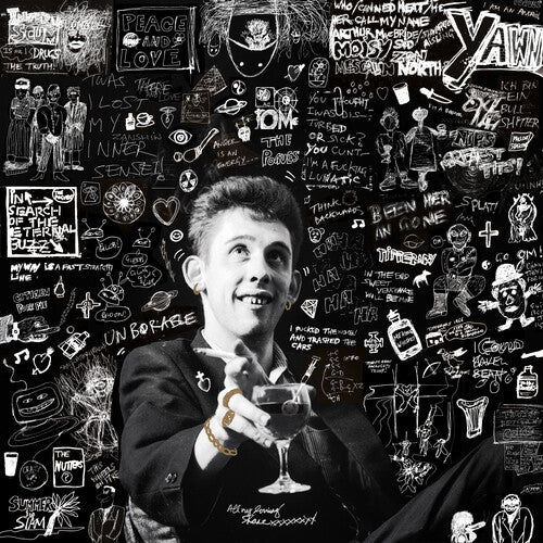 Shane MacGowan 20th Century Paddy - the Songs of Shane Macgowan - Triple Record Album - Vinyl LP