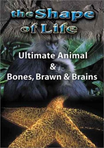 Shape of Life 4: Ultimate Animal & Bones - DVD