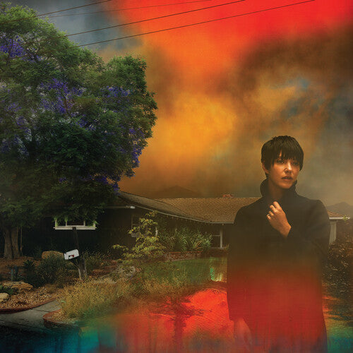Sharon Van Etten We've Been Going About This All Wrong - Record Album - Vinyl LP
