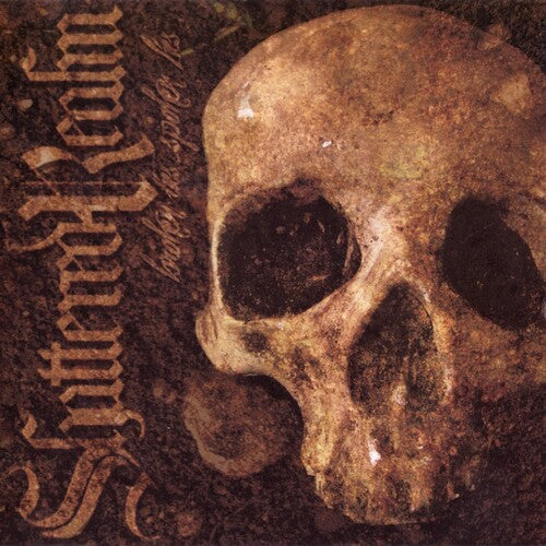 Shattered Realm Broken Ties... Spoken Lies - Record Album - Vinyl LP