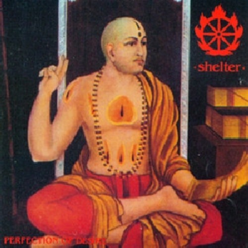 Shelter Perfection of Desire - Record Album - Vinyl LP