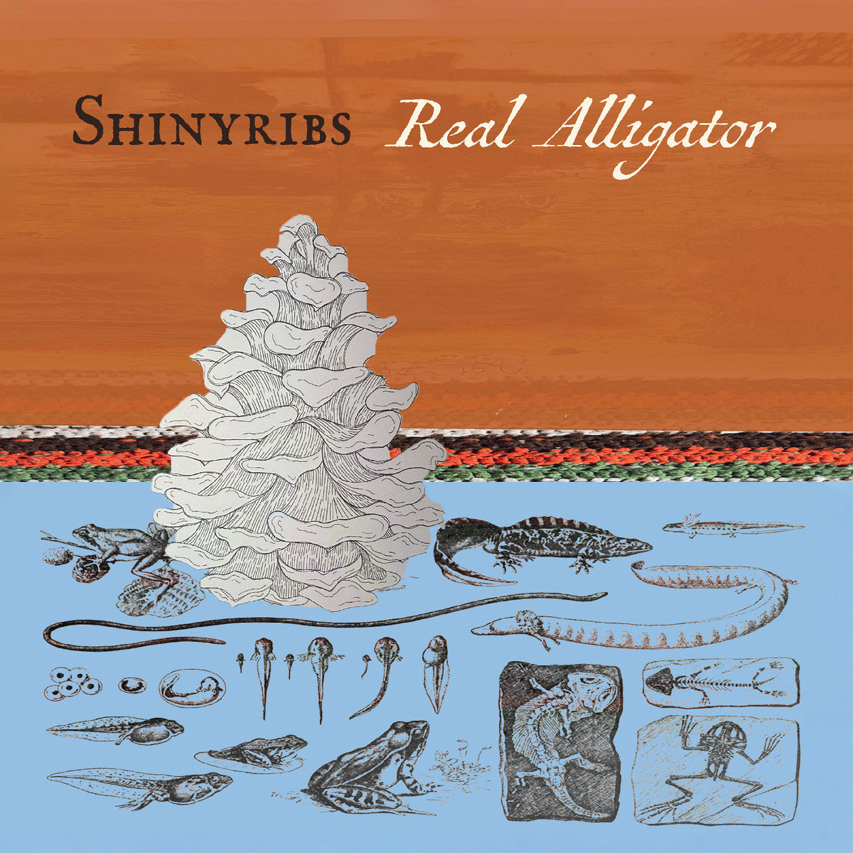 Shinyribs Real Alligator