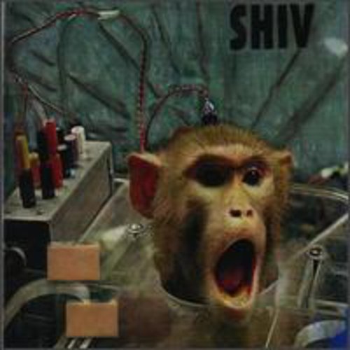 Shiv Flayed & Ashamed - CD Album