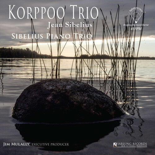 Sibelius Piano Trio Korppoo Trio (Jean Sibelius) - Record Album - Vinyl LP