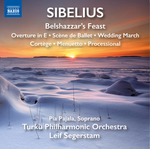 Sibelius / Turku Philharmonic Orchestra Orchestral Works - CD Album