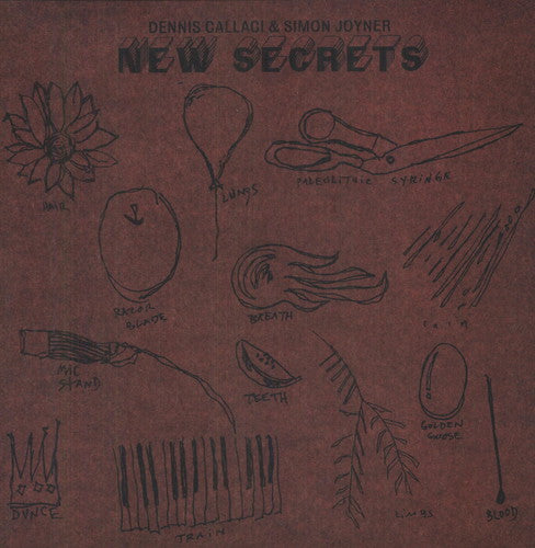SIMON JOYNER New Secrets - Record Album - Vinyl LP