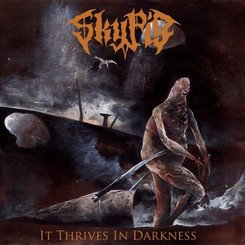 Sky Pig It Thrives In Darkness - Record Album - Vinyl LP