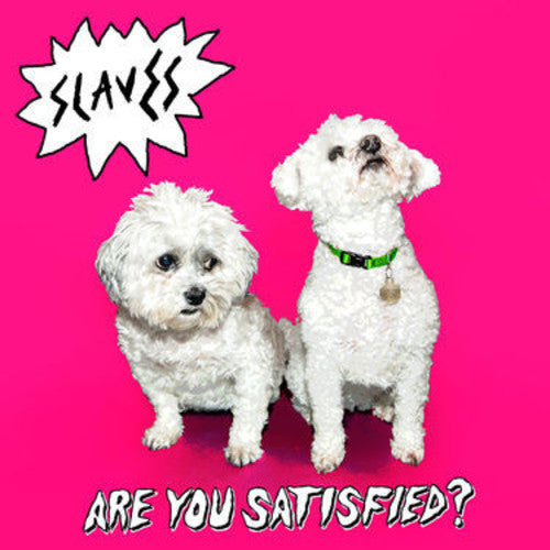 Slaves Are You Satisfied - Record Album - Vinyl LP