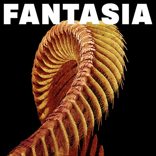 Slift Fantasia - Double Record Album - Vinyl LP